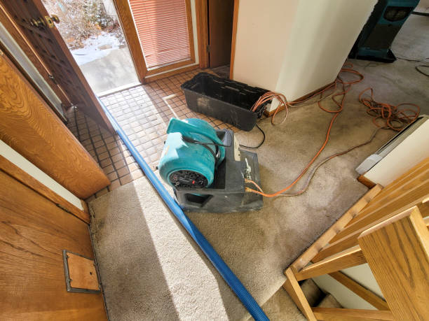 Best Residential water damage restoration  in Nesconset, NY