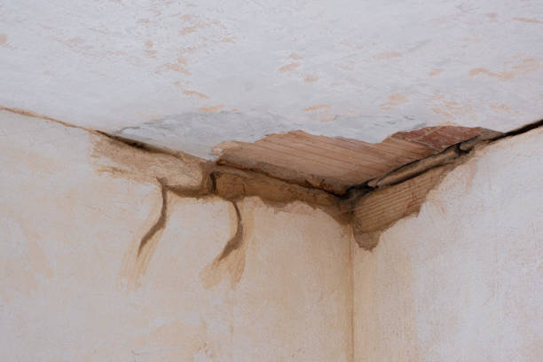 Best Local water damage restoration  in Nesconset, NY