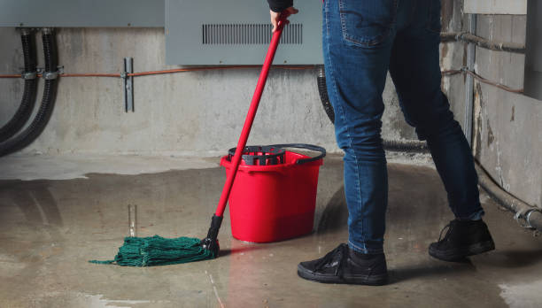 Best Water damage contractors near me  in Nesconset, NY