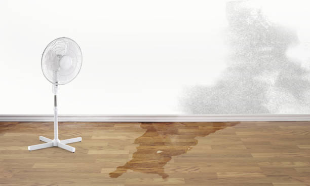 Best Ceiling water damage repair  in Nesconset, NY