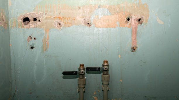 Best Sewage cleanup and water damage restoration  in Nesconset, NY