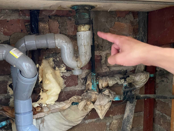 Best Flooded house restoration  in Nesconset, NY