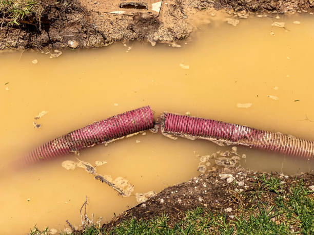 Best 24-hour water damage restoration  in Nesconset, NY