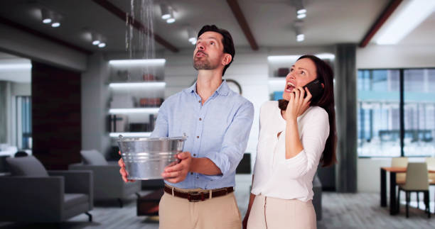 Best Carpet water damage restoration  in Nesconset, NY